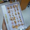 FASHION JEWELRY